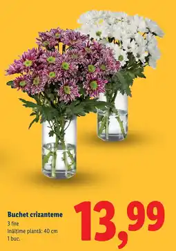 Lidl Buchet crizanteme Ofertă