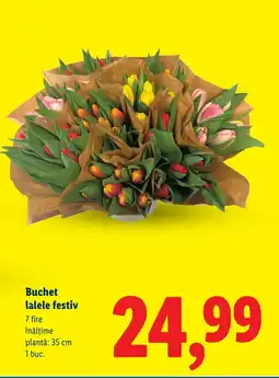 Lidl Buchet lalele festiv Ofertă