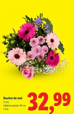 Lidl Buchet de mai Ofertă