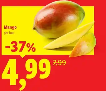 Lidl Mango Ofertă