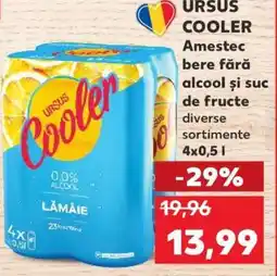 Kaufland URSUS COOLER Ofertă