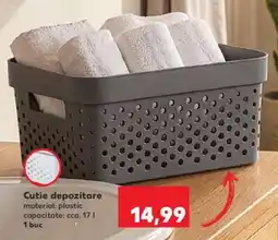 Kaufland Cutie depozitare Ofertă