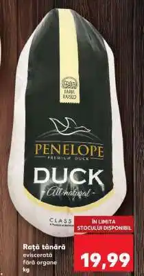 Kaufland Rață tânără Ofertă