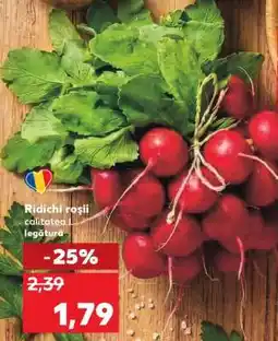 Kaufland Ridichi roşii Ofertă