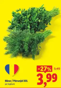 Lidl Márar/Pătrunjel XXL Ofertă