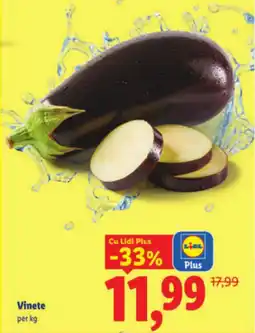 Lidl Vinete Ofertă