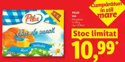 Lidl PILOS Unt Ofertă