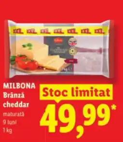 Lidl MILBONA Brânză cheddar Ofertă