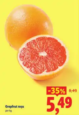 Lidl Grepfrut roşu Ofertă