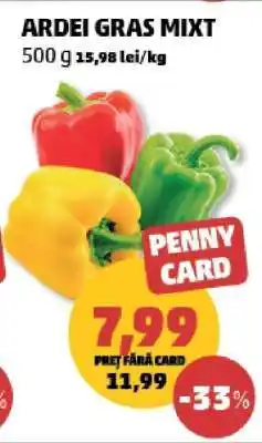 Penny ARDEI GRAS MIXT Ofertă