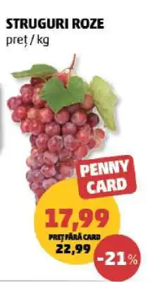 Penny Struguri roze Ofertă
