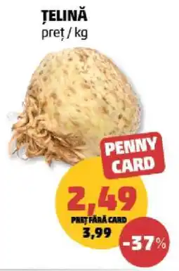 Penny Țelină Ofertă