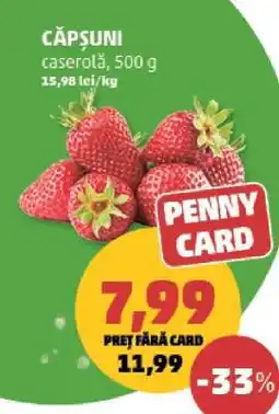 Penny Căpşuni Ofertă