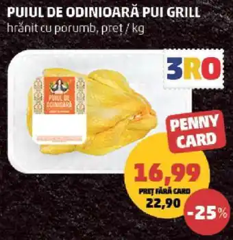 Penny Puiul de Odinioară Pui Grill Ofertă