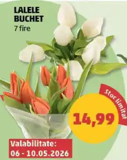 Penny LALELE BUCHET Ofertă