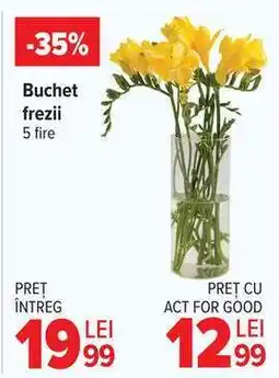 Carrefour Buchet frezii Ofertă
