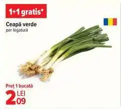 Carrefour Ceapă verde Ofertă