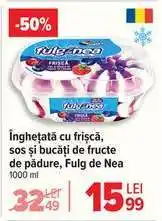 Carrefour Înghețată cu frișcă, sos și bucăți de fructe de pădure, Fulg de Nea Ofertă