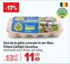 Carrefour Ouă de la găini crescute în aer liber Filiera Calității Carrefour Ofertă