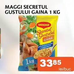 Unicarm Maggi secretul gustului gaina Ofertă