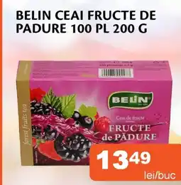 Unicarm Belin ceai fructe de padure 100 pl Ofertă