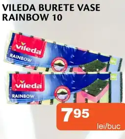 Unicarm Vileda burete vase rainbow 10 Ofertă