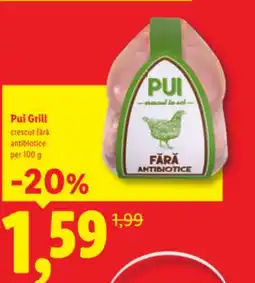 Lidl Pui Grill Ofertă