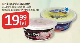 Tort de îngheţată ICE DYP