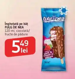 Supeco Îngheţată pe băt FULG DE NEA Ofertă