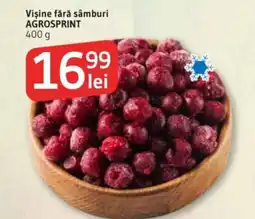Supeco Vişine fără sâmburi AGROSPRINT Ofertă