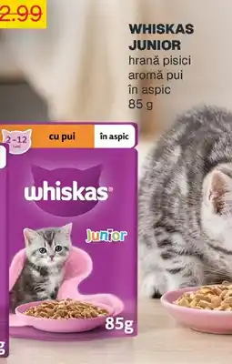 Annabella WHISKAS JUNIOR hrană pisici aromă pui în aspic Ofertă