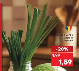 Kaufland Ceapă verde Ofertă