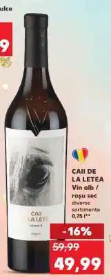 Kaufland CAII DE LA LETEA Ofertă