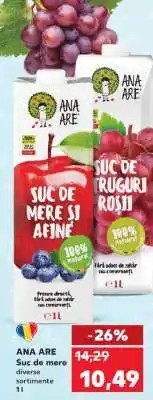 Kaufland ANA ARE Suc de mere Ofertă
