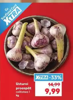 Kaufland Usturoi proaspăt calitatea I Ofertă