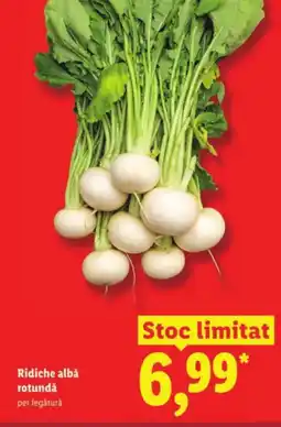 Lidl Ridiche albǎ rotundǎ Ofertă