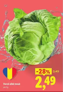 Lidl Varză albă nouă Ofertă