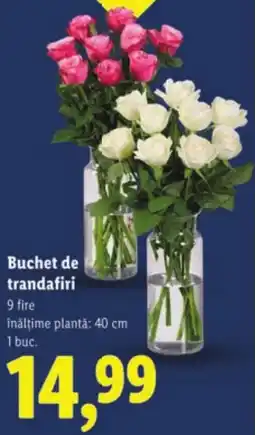 Lidl Buchet de trandafiri Ofertă