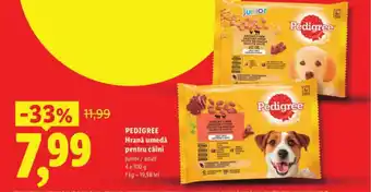PEDIGREE Hrană umedă pentru câini