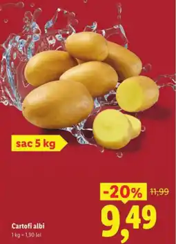 Lidl Cartofi albi Ofertă