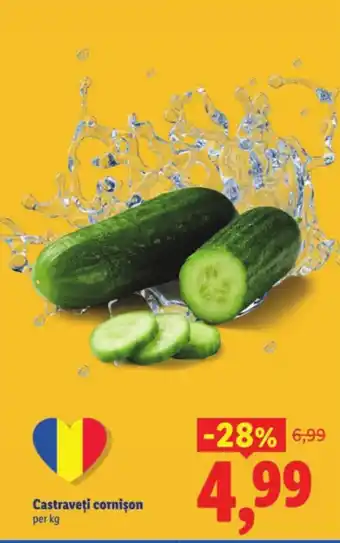 Lidl Castraveţi cornison Ofertă