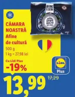 Lidl CAMARA NOASTRĂ Afine de cultură Ofertă