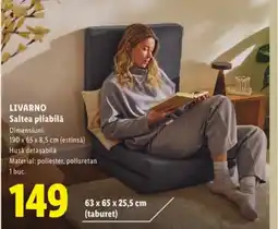 Lidl LIVARNO Saltea pliabilǎ Ofertă
