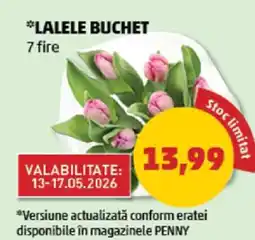 Penny LALELE BUCHET Ofertă