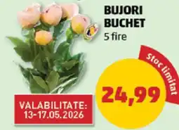 Penny BUJORI BUCHET Ofertă