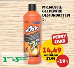 Penny Mr.MUSCLE Gel pentru desfundat țevi Ofertă