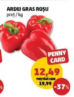 Penny Ardei gras roșu Ofertă