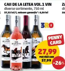 Penny CAII DE LA LETEA VOL.1 VIN Ofertă