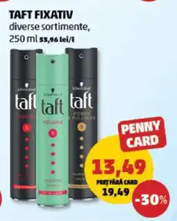 Penny TAFT FIXATIV Ofertă