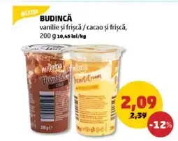 Penny Budincă Ofertă
